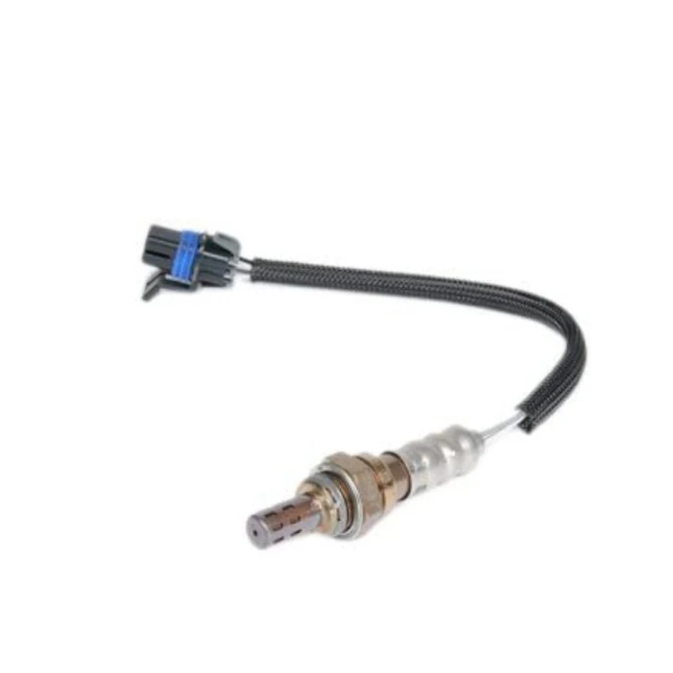 oxygen sensor 1